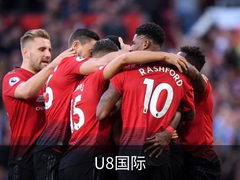 U8国际介绍